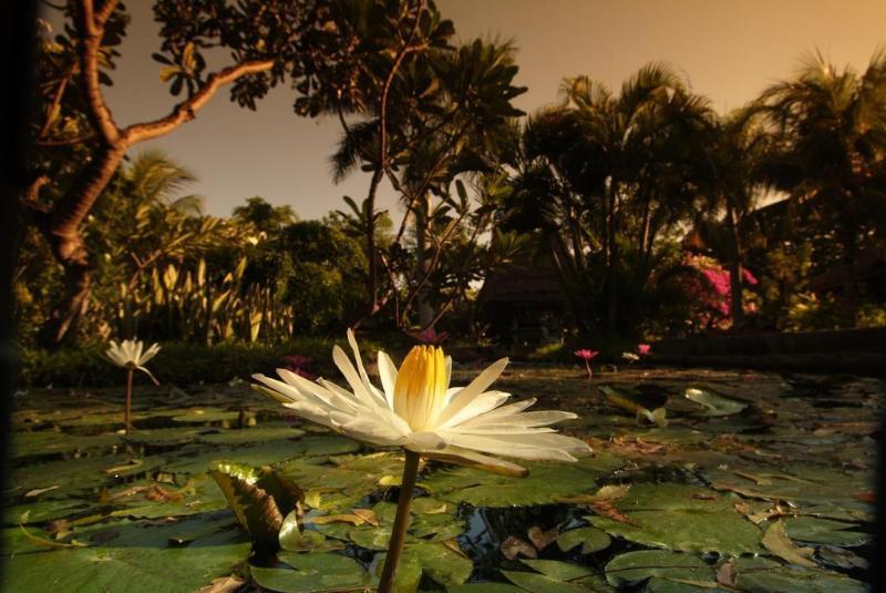 Pondok Sari Beach Bungalow Pemuteran Exterior foto